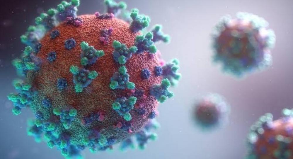 The Weekend Leader - NZ reports 75 fresh community cases of Delta variant