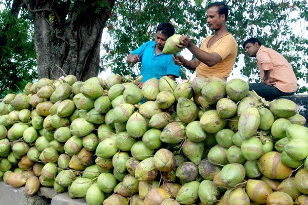 The Weekend Leader - Kerala scientists turn coconut oil into biofuel