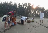 The Weekend Leader - Turtle Festival | Velas Beach, Ratnagiri | Sahyadri Nisarg Mitra (SNM)