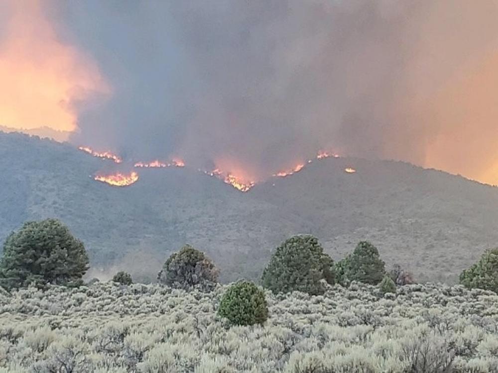 The Weekend Leader - California wildfire burns over 244,000 acres