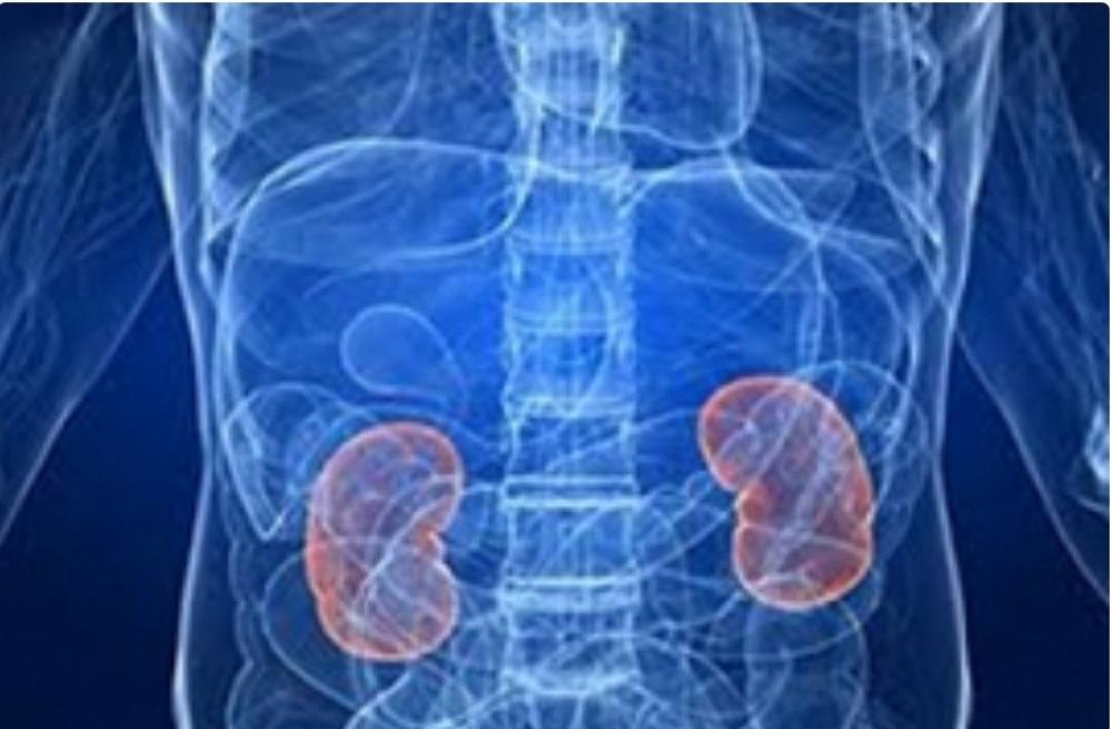 The Weekend Leader - Kidney damage is silent killer in Covid patients, say USA's top docs