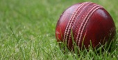 Cricket dhamaka