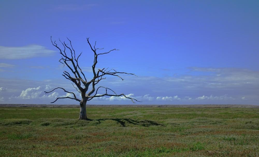 The Weekend Leader - Countries pledge to increase finance to fight climate change