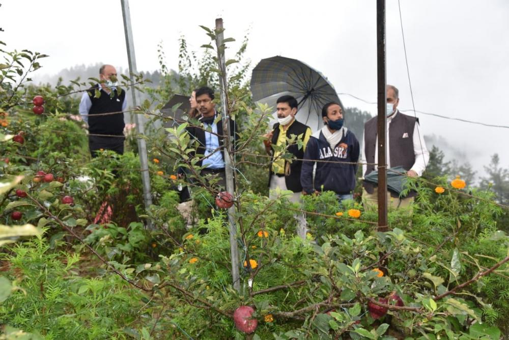 The Weekend Leader - Natural farming revives Shimla's abandoned apple orchard