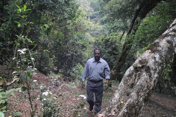 The Weekend Leader - Story of unsung hero V. S. Veerapathiran aka Veera, founder of Eco Friendly Environment Conservation Trust (EFECT), Kodaikanal