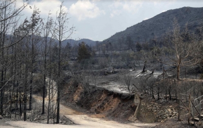 The Weekend Leader - Massive forest fire in Cyprus kills 4 people