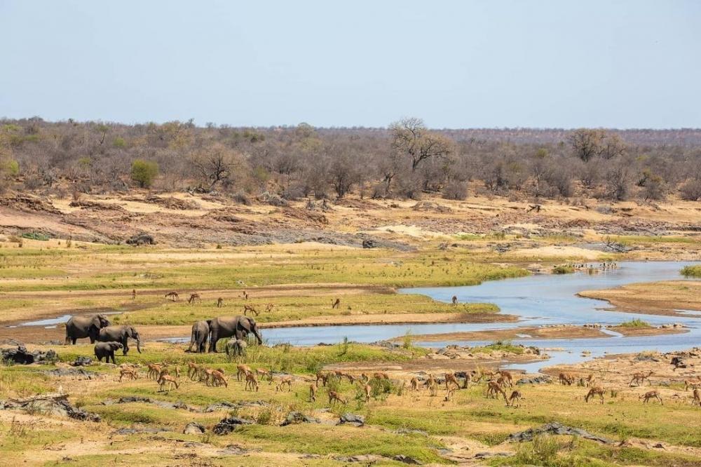 The Weekend Leader - South African national parks to go cash-free