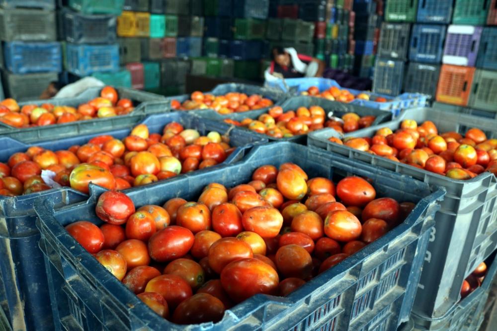 The Weekend Leader - Tomato prices soar, touch Rs 100/kg in Chennai