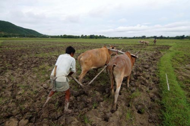 The Weekend Leader - Focusing on women to carry on with farming even if the men have gone in search of greener pastures | Culture | New Delhi