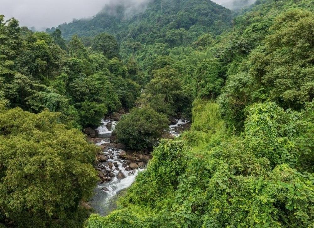 The Weekend Leader - ﻿22 Miyawaki forests spots launched by Kerala Tourism