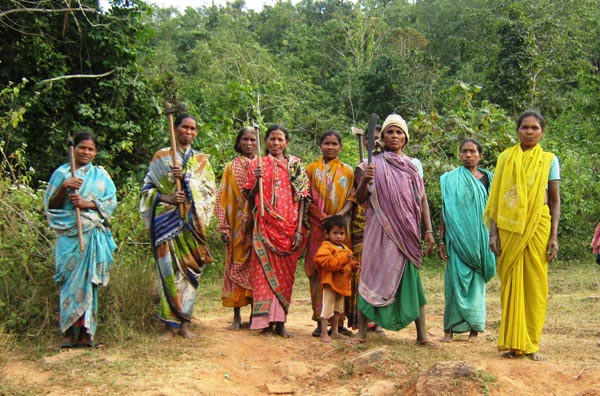 The Weekend Leader - Living Farm’s awareness on forest protection has provided food for tribals | Culture | Rayagada 