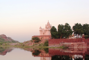 The Weekend Leader - Eradicating baavlia plants through ‘rewilding’ was part of the restoration project | Nature | Jodhpur