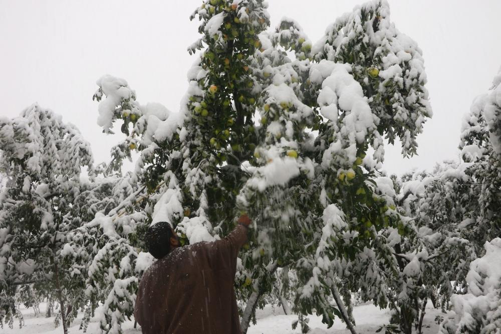 The Weekend Leader - Heavy to very heavy rain, snow forecast in J&K