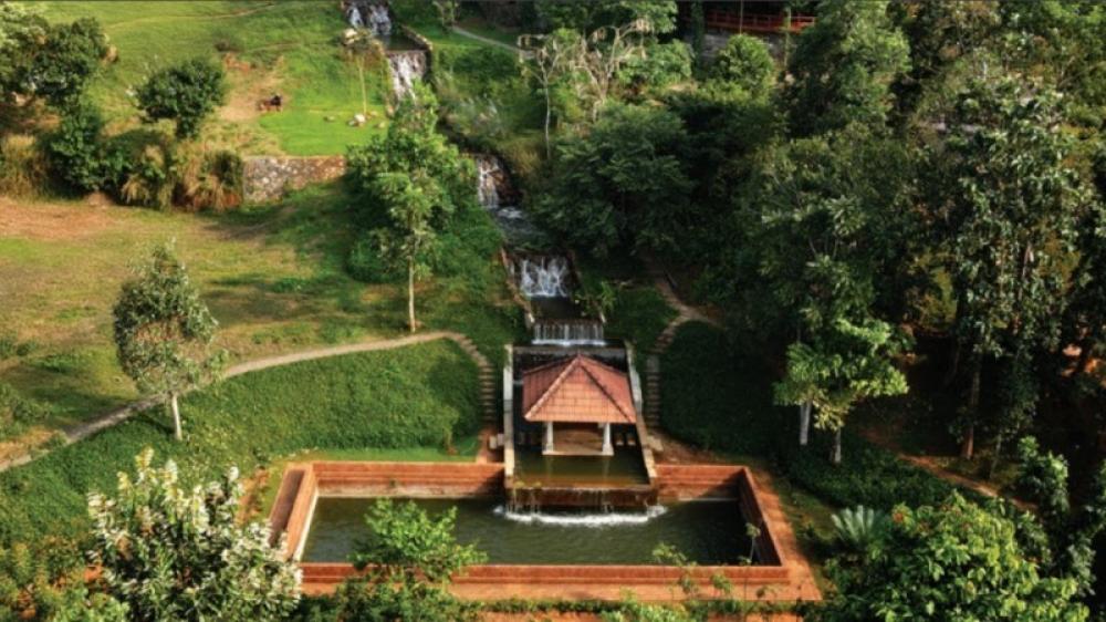 The Weekend Leader - Hortus Malabaricus Garden Revives 17th-Century Botanical Legacy in Kerala