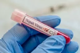 TN's strict monitoring of passengers from Kerala for Nipah virus