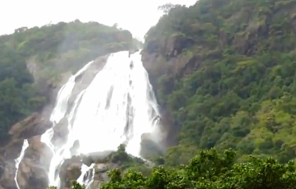 The Weekend Leader - Mayabhushan Nagvenkar  | Nature | Dudhsagar (Goa) 