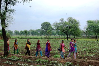 The Weekend Leader - Gondwana Residential Agriculture School | Gondwana Society | Mungeli 