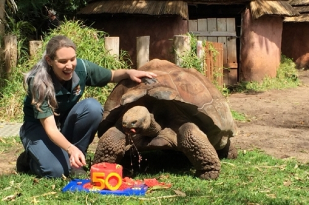 The Weekend Leader - Giant tortoise Cerro celebrates 50th birthday in Perth Zoo | Offbeat | 