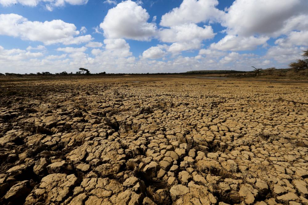 The Weekend Leader - Kenya declares drought national disaster