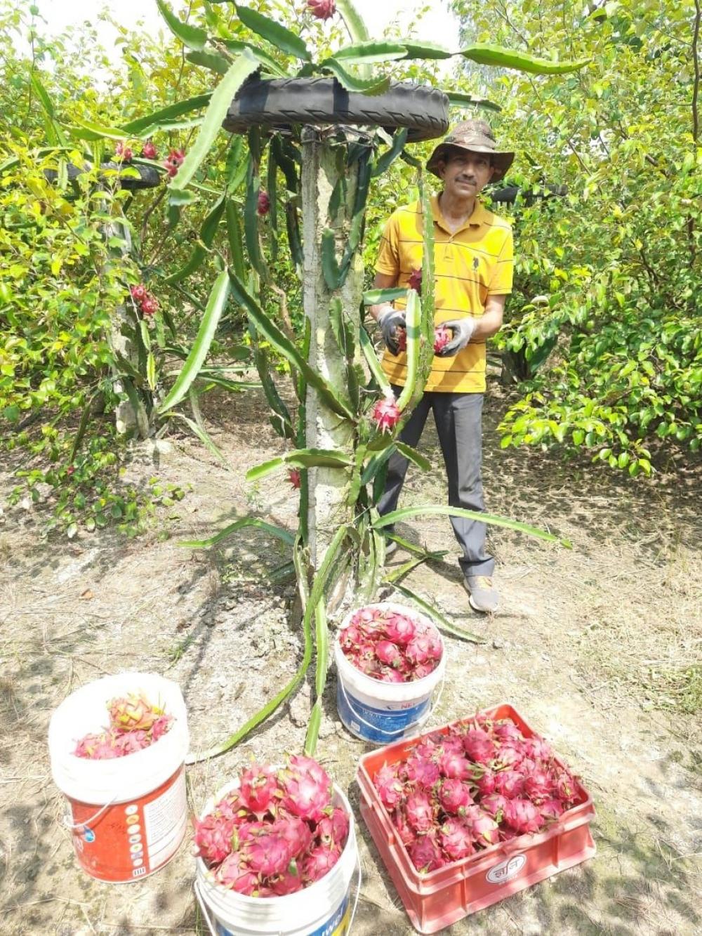 The Weekend Leader - This UP farmer grows it all, from chia seeds to dragon fruits