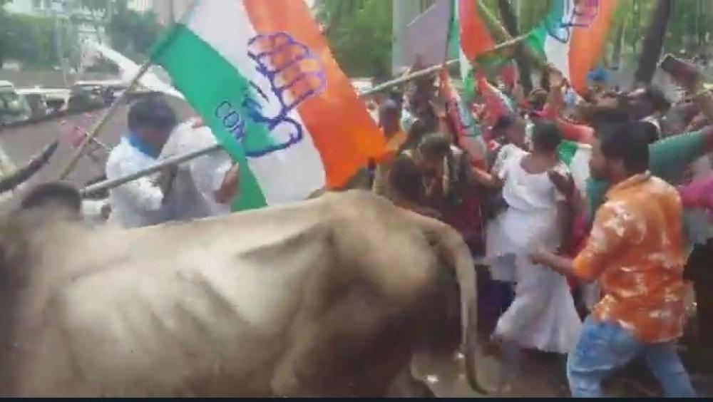 The Weekend Leader - Bullock-cart collapses during Mumbai Cong's protest against fuel prices