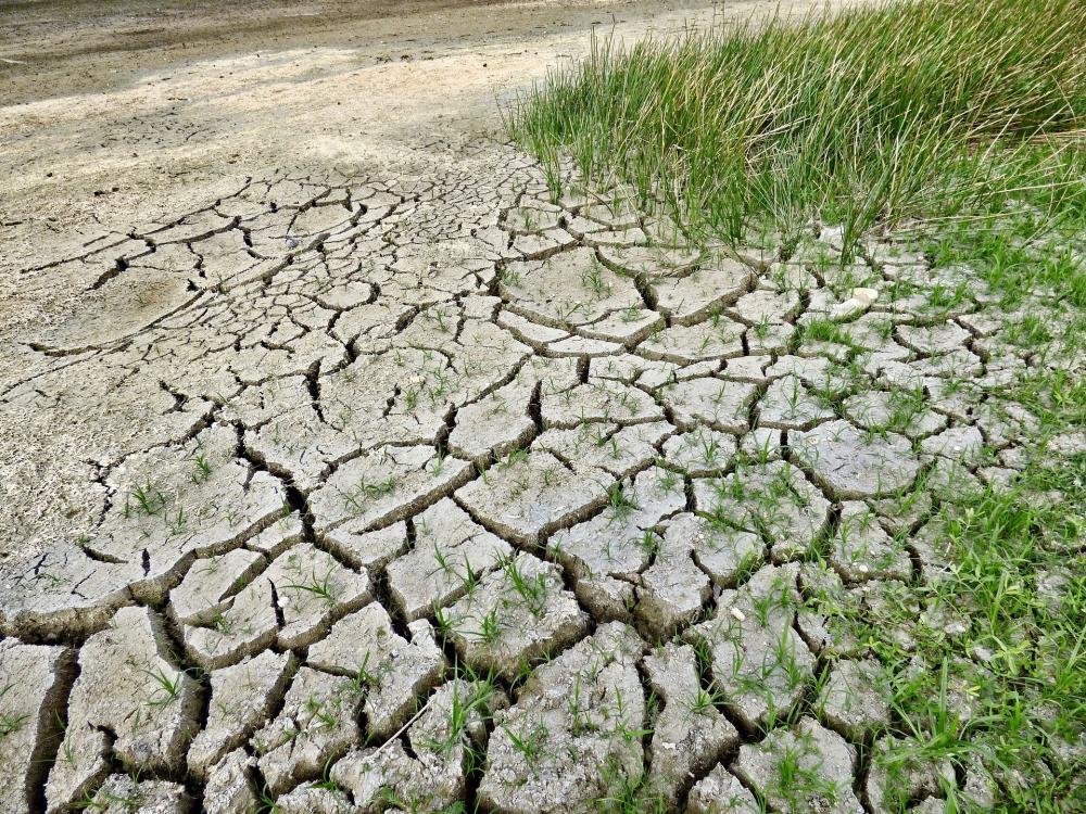 The Weekend Leader - Droughts to increase in India, South Asia: IPCC report