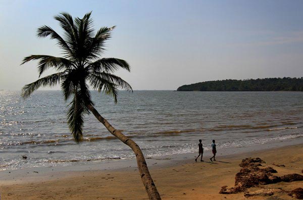 The Weekend Leader - Neera, coconut water-based non-alcoholic drink