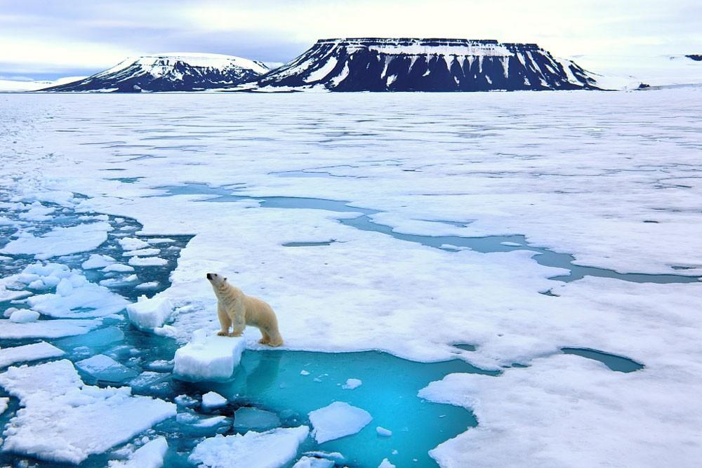 The Weekend Leader - COP26 Explainer: Keeping 1.5C future alive hinges in Glasgow