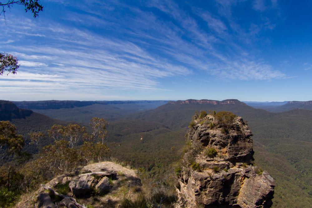 The Weekend Leader - Australia needs more efforts to halt biodiversity decline