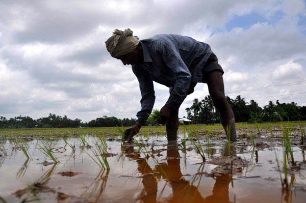 The Weekend Leader - Farmers in the foothill of Bhutan are cheerful that water flows into their paddy fields | Success | Guwahati