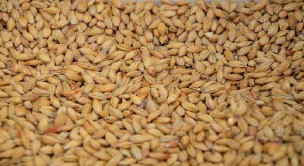 The Weekend Leader - 'Food fortification to help eradicate undernutrition'