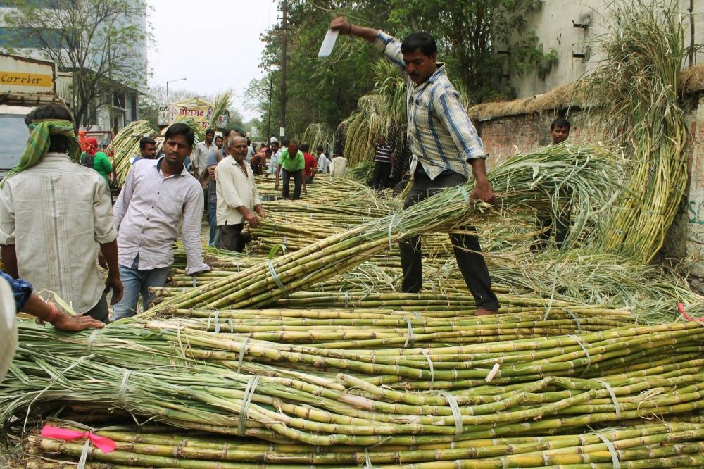 The Weekend Leader - 85% sugarcane dues cleared, claims UP govt