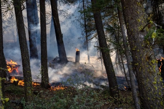 The Weekend Leader - Wildfire in southern California triggers evacuation orders