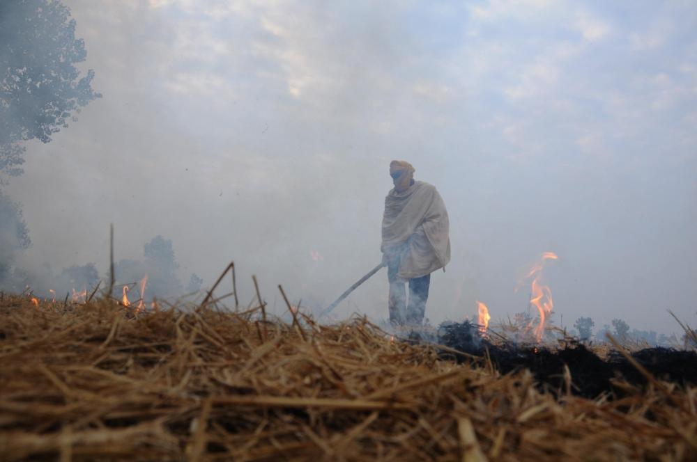 The Weekend Leader - It has become fashion to bash farmers, SC slams Delhi govt on air pollution