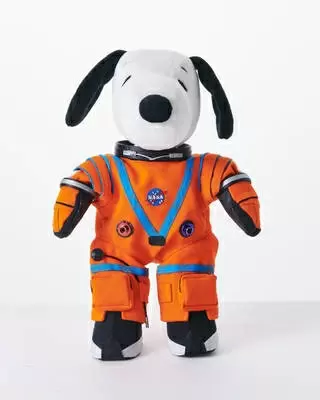 Snoopy to fly on NASA's Artemis I Moon mission next yr