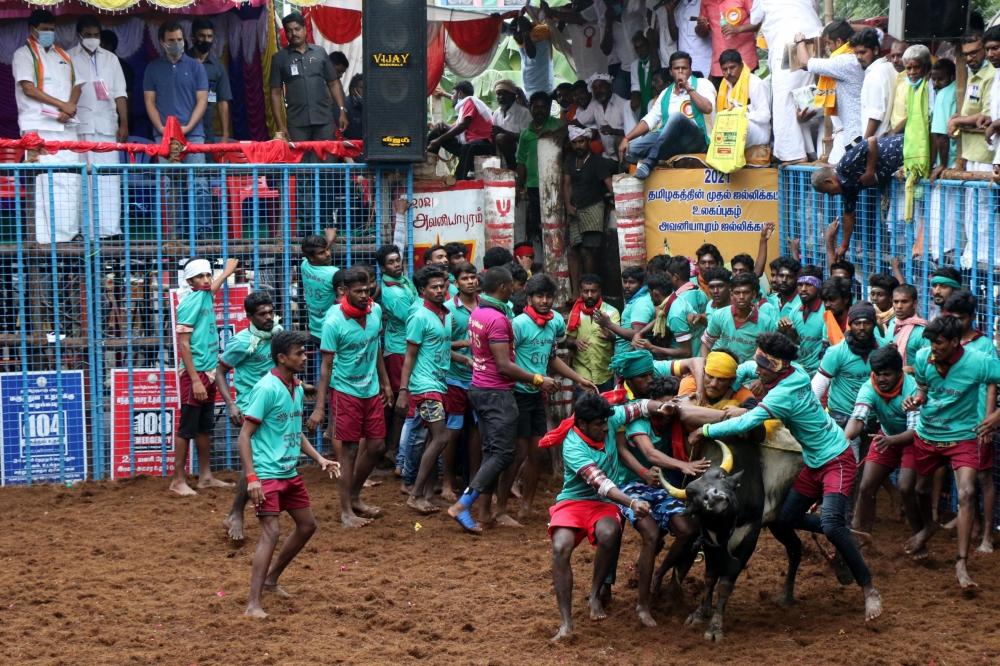 The Weekend Leader - Jallikattu held in TN as part Pongal celebrations