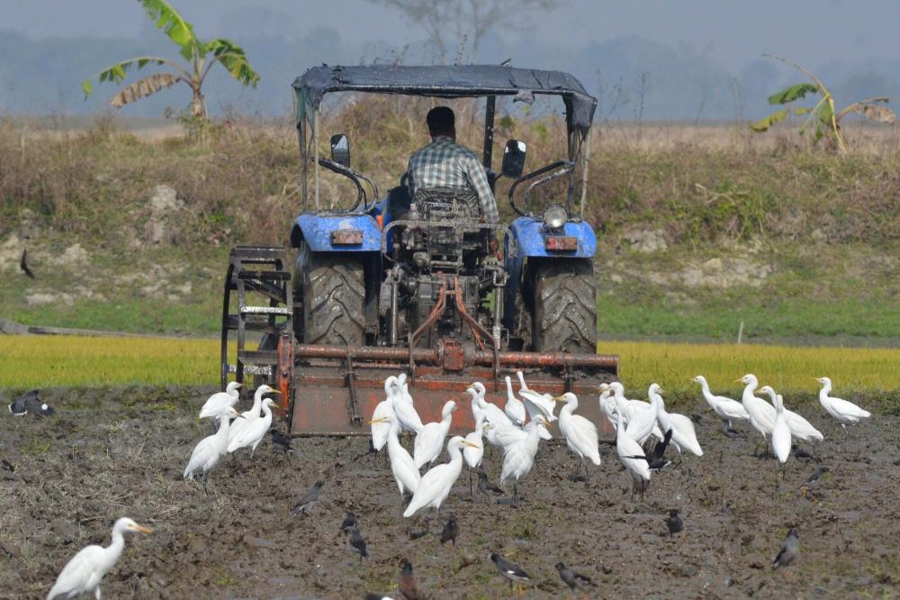 The Weekend Leader - TN's first agri budget focuses on farmer's income