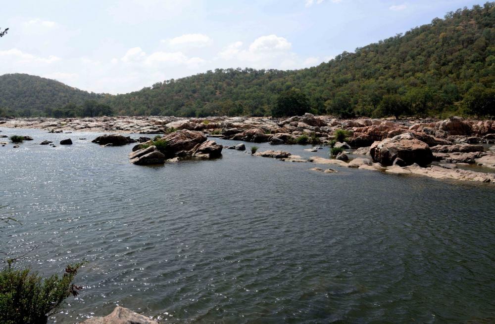 The Weekend Leader - Puducherry govt to oppose K'taka's Mekedatu dam project