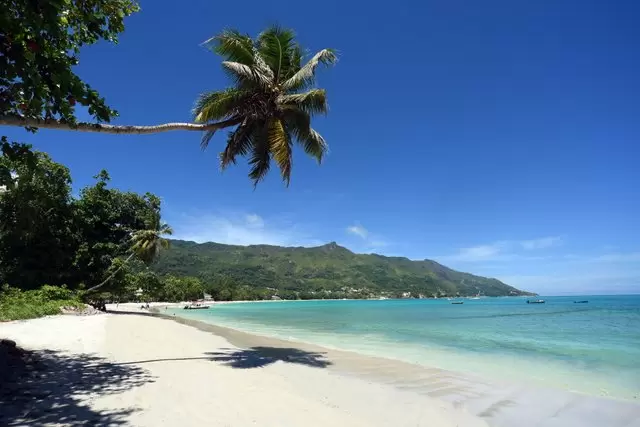 Discover Seychelles' Enchanting Beaches: A Journey to Tropical Paradise