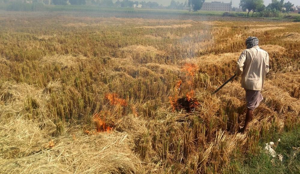 The Weekend Leader - Yogi govt withdraws 868 stubble burning cases against farmers