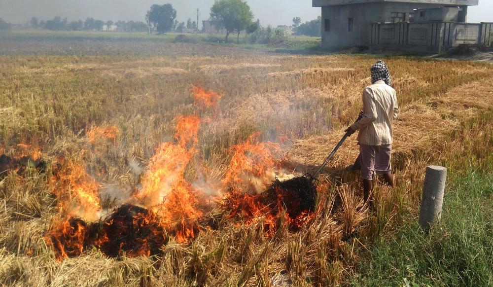 The Weekend Leader - Focus on Punjab, Hry only; farm fires in other states go unnoticed