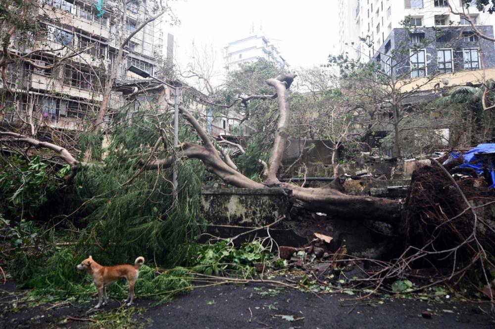The Weekend Leader - Cyclone Tauktae brings record May rains, leaves trail of destruction in Maha