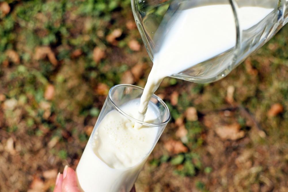 The Weekend Leader - Karnataka resumes free milk distribution to boost immunity