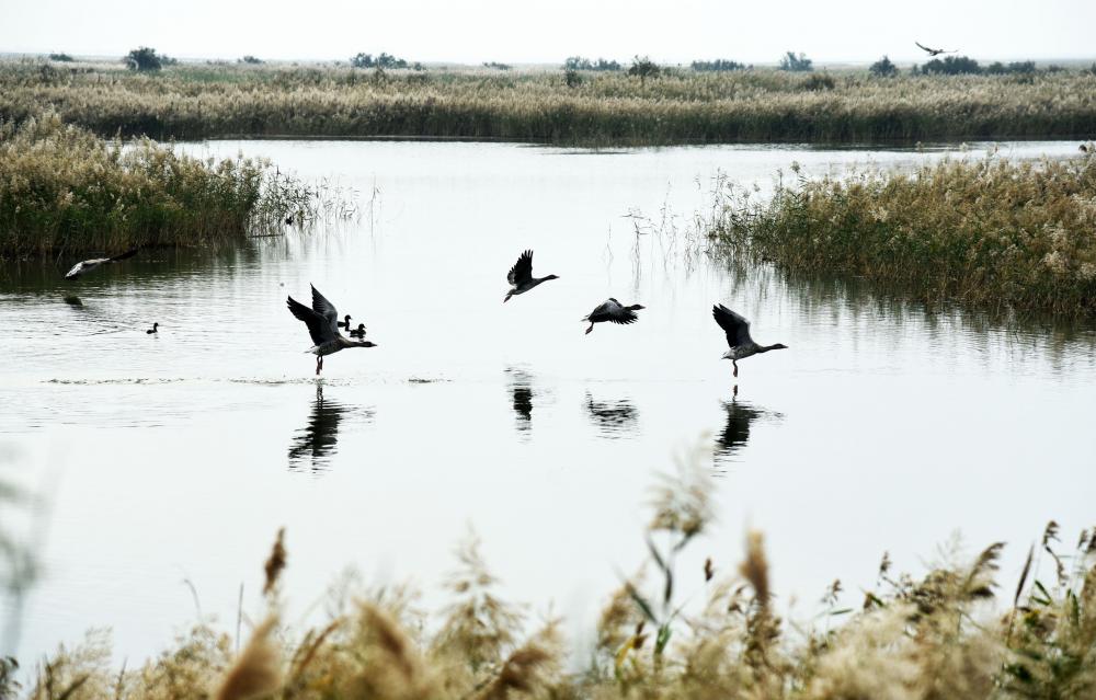 The Weekend Leader - China to host two-part summit on nature