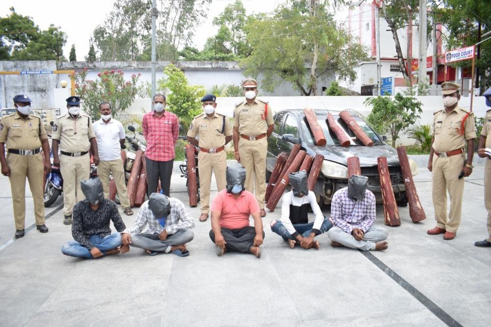 The Weekend Leader - Andhra police arrest 5 people, seize 20 red sanders logs