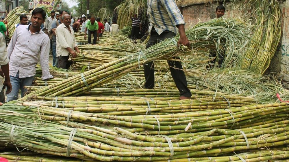 The Weekend Leader - Agri boost: Sugarcane worth Rs 91,000 crore purchased in 2020-21