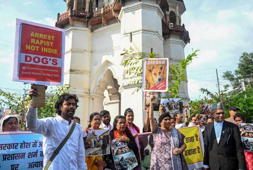 The Weekend Leader - If Dog Lovers Care So Much, Let Them Open Their Guest Rooms for Strays, Says Director Ram Gopal Varma