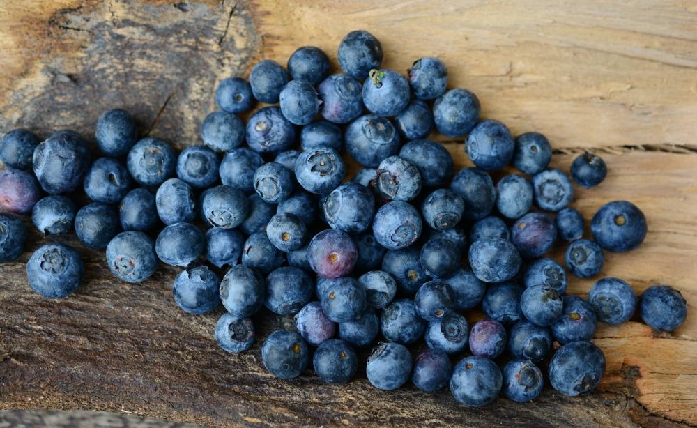 The Weekend Leader - Eating blueberries can lower BP, cut heart disease risk