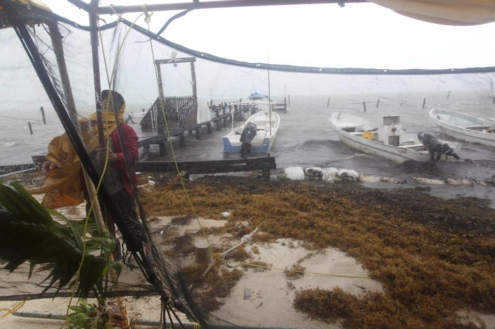 The Weekend Leader - Tropical storm Dolores makes landfall in Mexico