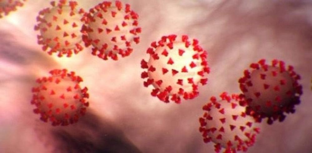 The Weekend Leader - Covid survivors still at reinfection risk from Alpha, Beta variants